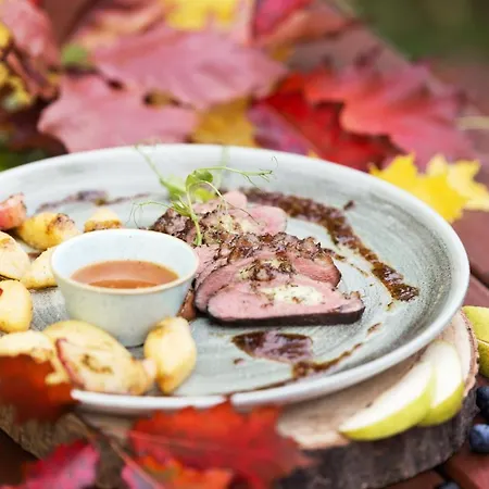 Lesna Perla - Restauracja I Hotelowe Rudzinitz