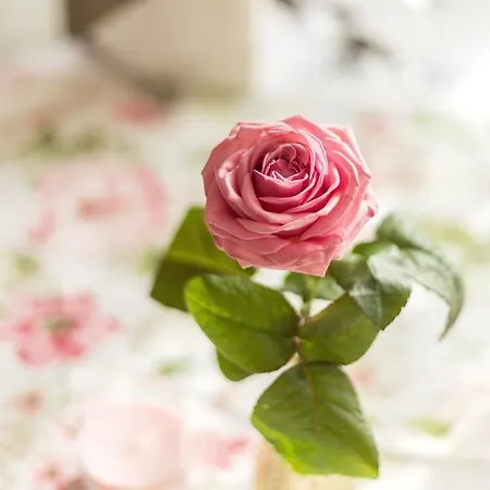 Bed & Breakfast Lesna Perla - Restauracja I Hotelowe 3*